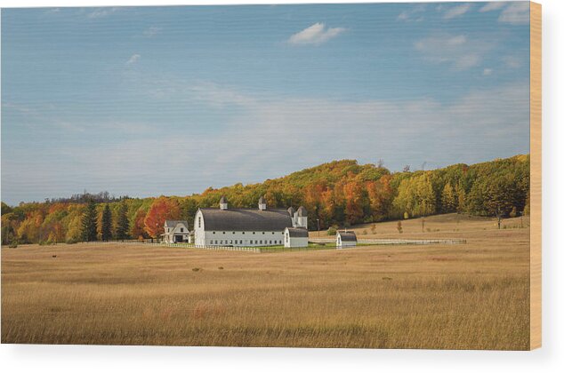Dh Day Wood Print featuring the photograph Dh Day Farm by Steve L'Italien