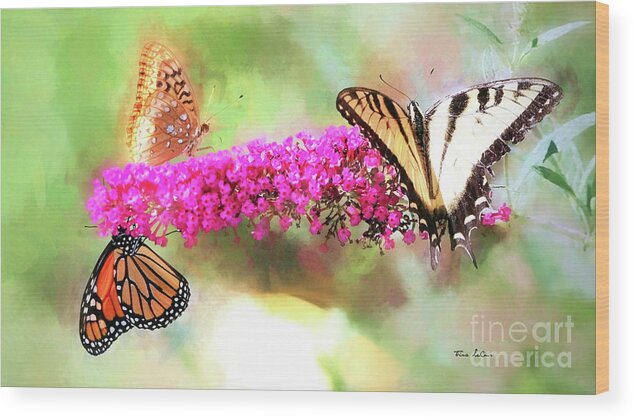 Butterfly Wood Print featuring the mixed media Divine Diversity by Tina LeCour