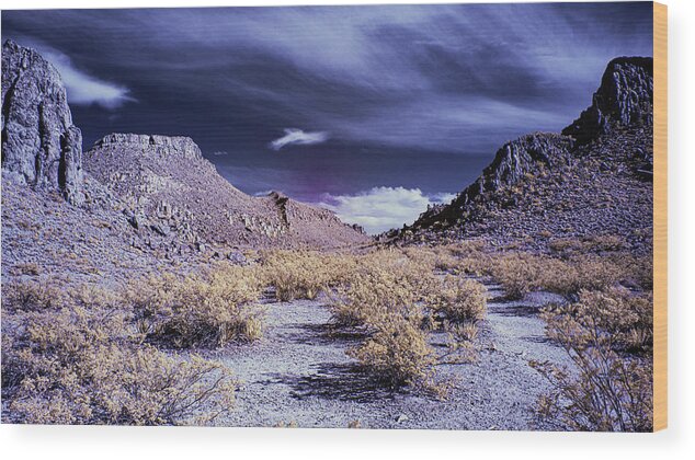 Texas Wood Print featuring the photograph Dusk In The Grapevine Hills by Jim Cook