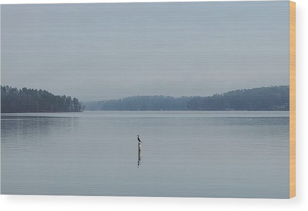 Lake Wood Print featuring the photograph Efficiency by Ed Williams
