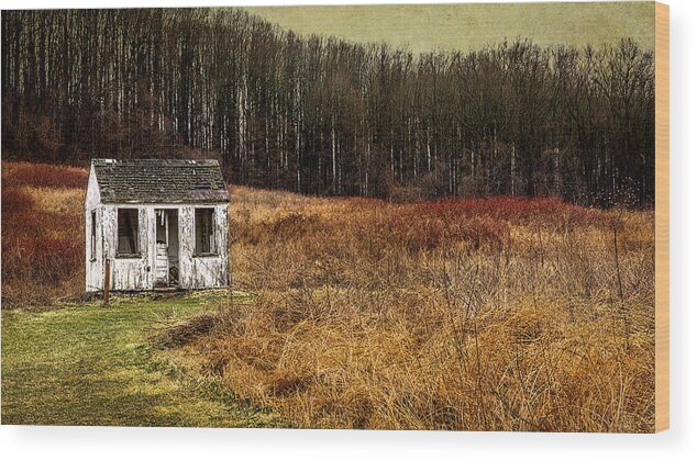 White Abandoned Cabin Wood Print featuring the photograph Abandoned White Cabin by Reynaldo Williams
