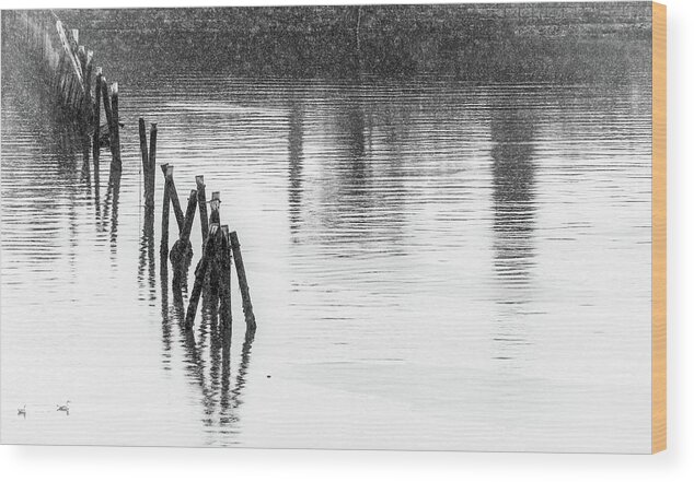 Fence Wood Print featuring the photograph Fence into Water in Black and WHite by James C Richardson