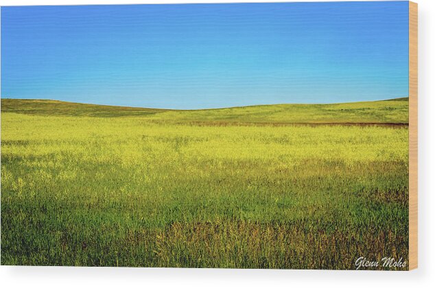 Fields Of Gold And Blue Wood Print featuring the photograph Fields of Blue and Gold by GLENN Mohs