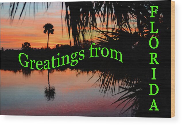 Florida Postcard Wood Print featuring the photograph Florida everglades greatings card by David Lee Thompson