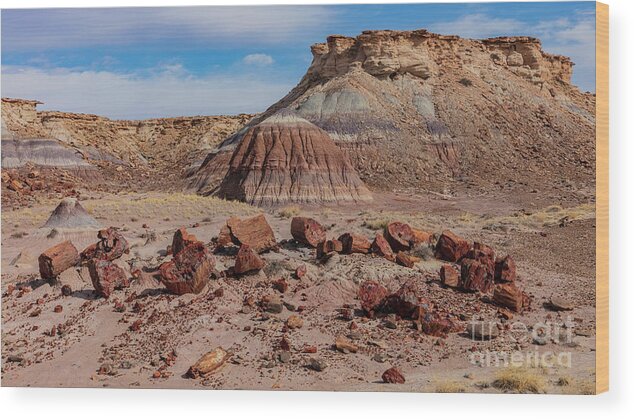 Landscape Wood Print featuring the photograph Fossil Forest by Seth Betterly