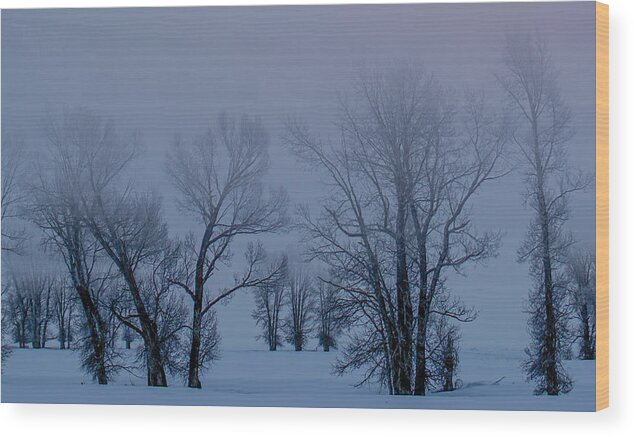 Tetons Wood Print featuring the photograph Freezing Fog at Mormon Row by Douglas Wielfaert