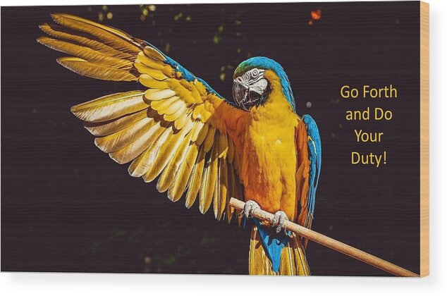 Parrot Wood Print featuring the photograph Go Forth and Do Your Duty by Nancy Ayanna Wyatt