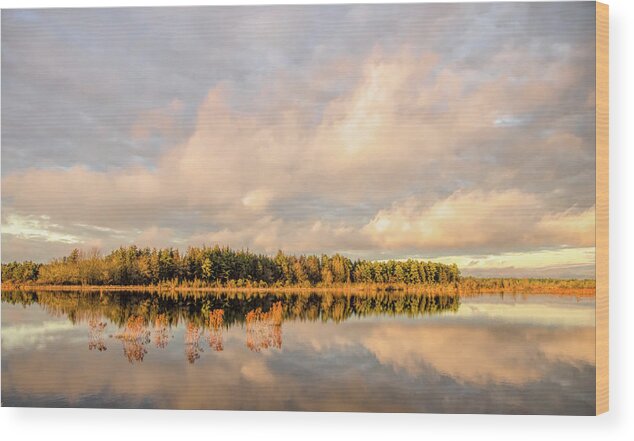Reflection Wood Print featuring the photograph Golden Hour Pine Glow by Beth Sawickie