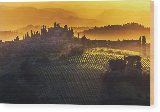 Italy Wood Print featuring the photograph Golden Tuscany by Evgeni Dinev
