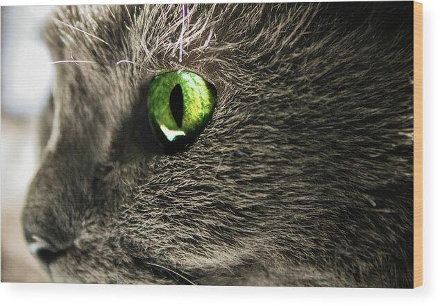  Wood Print featuring the photograph Green Cats Eye by Nicole Engstrom