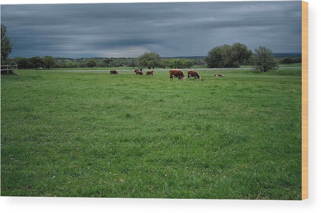 Green Wood Print featuring the photograph Green Pastures by Buck Buchanan