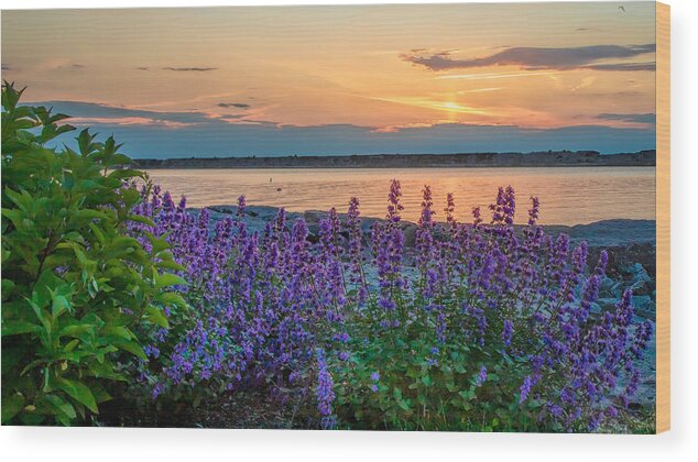 Oswego Sunset Wood Print featuring the photograph Harbor Walk Sunset by Rod Best