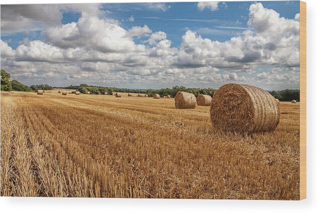 Bale Wood Print featuring the photograph Harvest Time 2 by Shirley Mitchell