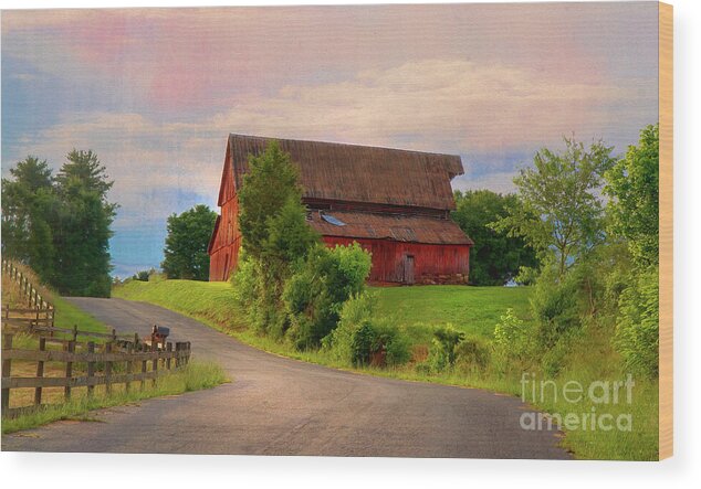Barn Wood Print featuring the photograph Hickory Hill by Shelia Hunt