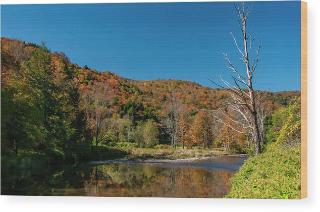 Autumn Wood Print featuring the photograph Hidden Pond by Cathy Kovarik