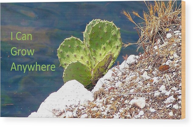 Cactus Wood Print featuring the photograph I Can Grow Anywhere by Nancy Ayanna Wyatt