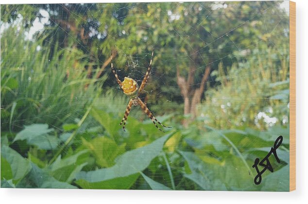 Spider Wood Print featuring the photograph I Web You by Esoteric Gardens KN