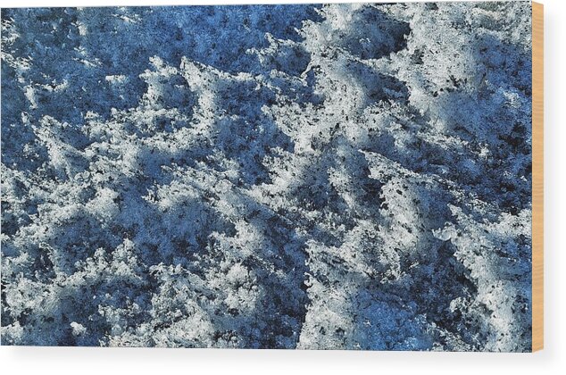 Ice Wood Print featuring the photograph Ice Forest by William Slider