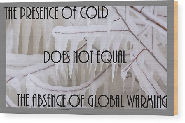 Freezing Rain Wood Print featuring the photograph Icicles and Global Warming by Nancy Ayanna Wyatt