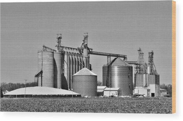  Wood Print featuring the photograph Indiana Grain by Kurt Keller