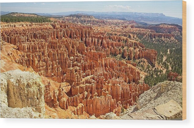 Blue Wood Print featuring the photograph Inspiration Point by Ronald Lutz