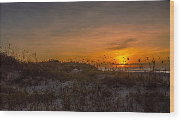 Into A New Day Prints Wood Print featuring the photograph Into A New Day by John Harding