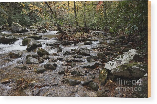 Mountain Wood Print featuring the photograph Jacobs Creek #9 by Groover Studios