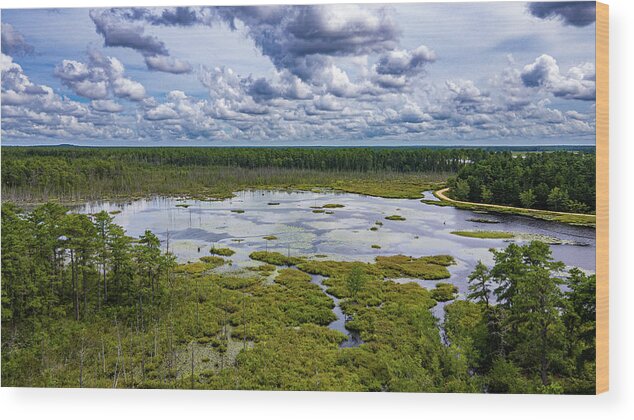 Fpp Wood Print featuring the photograph Lake in the Pine Barrens by Louis Dallara