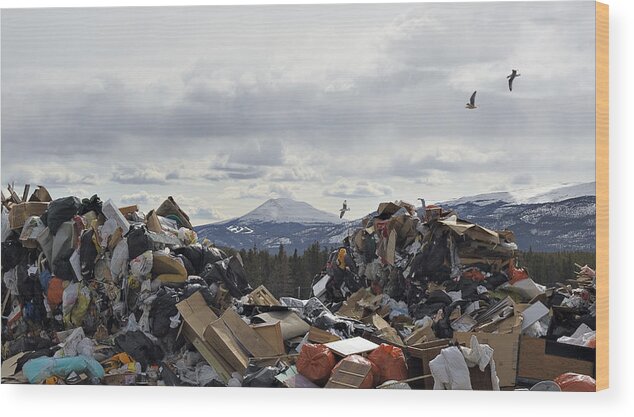 Air Pollution Wood Print featuring the photograph Landfill and Mountain by Richard Legner