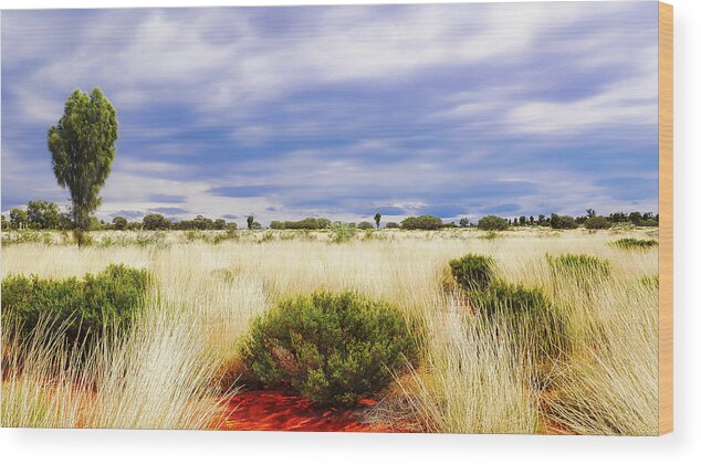 Central Australia Wood Print featuring the photograph Landscape of Central Australia by Lexa Harpell