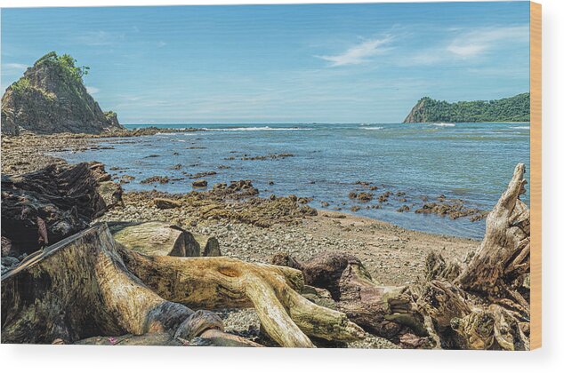 Central America Wood Print featuring the photograph Logs and stumps washed up on Bella Vista beach - Samara by Henri Leduc