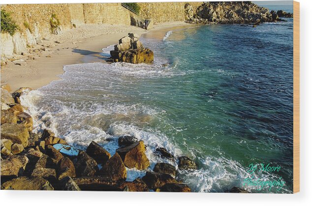 Lover's Point Wood Print featuring the photograph Lover's Point Beach by Dr Janine Williams