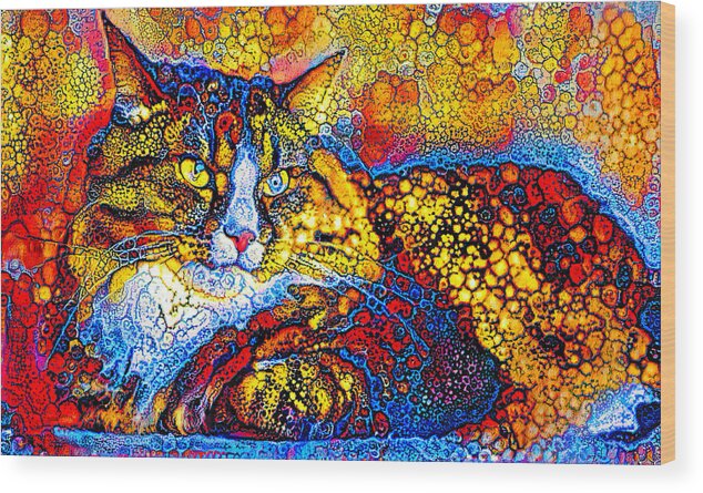 Maine Coon Wood Print featuring the digital art Maine Coon cat lying down - colorful bubble abstract art by Nicko Prints