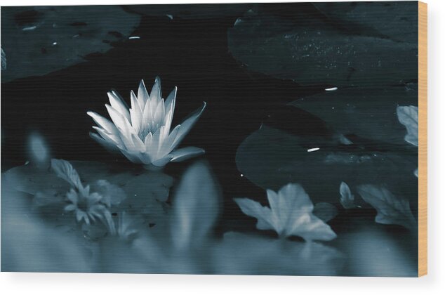 Lotus Wood Print featuring the photograph Monochrome Lotus by Mireyah Wolfe