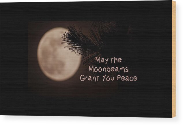  Wood Print featuring the photograph Moonbeams Art by Marjorie Whitley