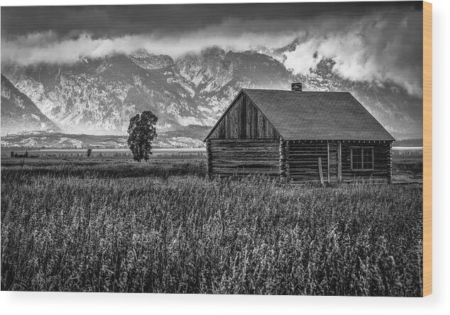 Grand Tetons National Park Wood Print featuring the photograph Mormon Row by Norman Reid