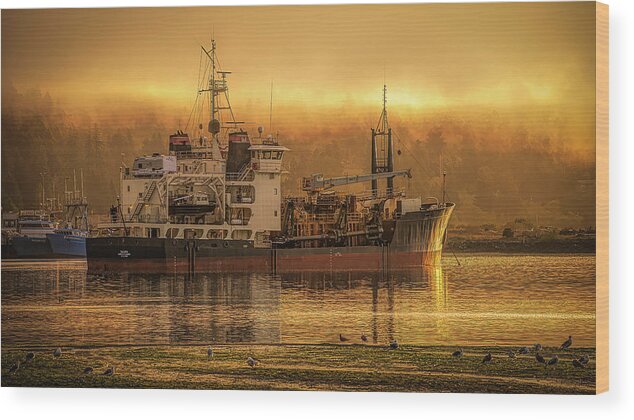 Ship Art Wood Print featuring the photograph Morning Rest by Bill Posner