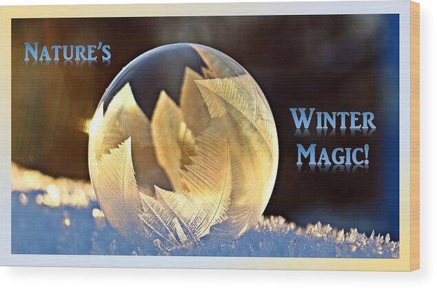 Winter Wood Print featuring the photograph Nature's Winter Magic by Nancy Ayanna Wyatt and Donor