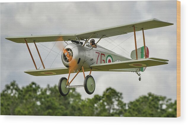 Wood Print featuring the photograph Nieuport 1 by David Hart