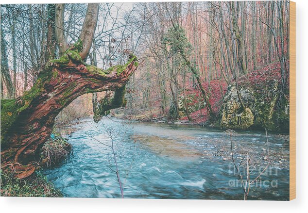 River Wood Print featuring the photograph Old tree by Jelena Jovanovic