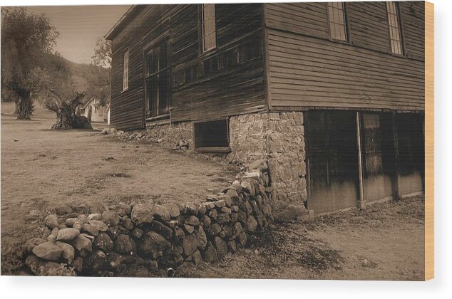 Old Barn Wood Print featuring the photograph Olompali Barn by John Parulis