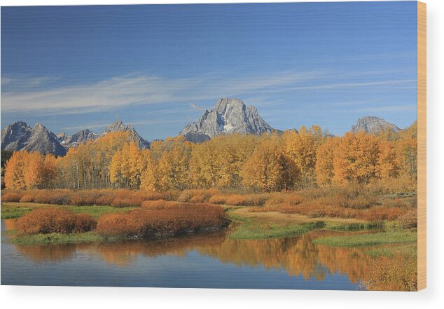 Oxbow Bend Reflection Wood Print featuring the photograph Oxbow Bend Fall Colors by Dan Sproul