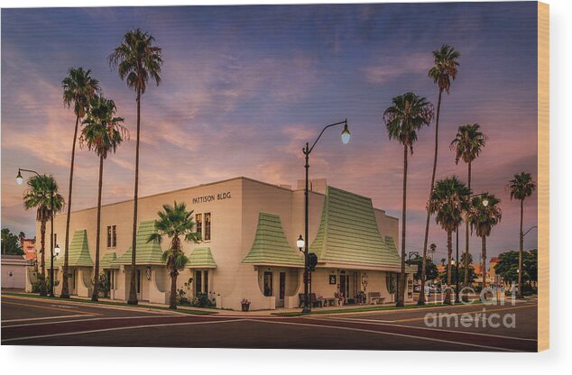 16 X 9 Wood Print featuring the photograph Pattison Building, Venice, Florida by Liesl Walsh