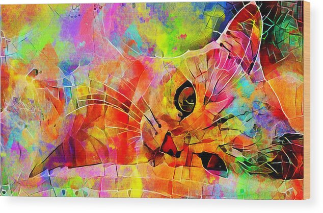 Persian Cat Wood Print featuring the digital art Persian cat relaxing - colorful irregular tiles mosaic effect by Nicko Prints