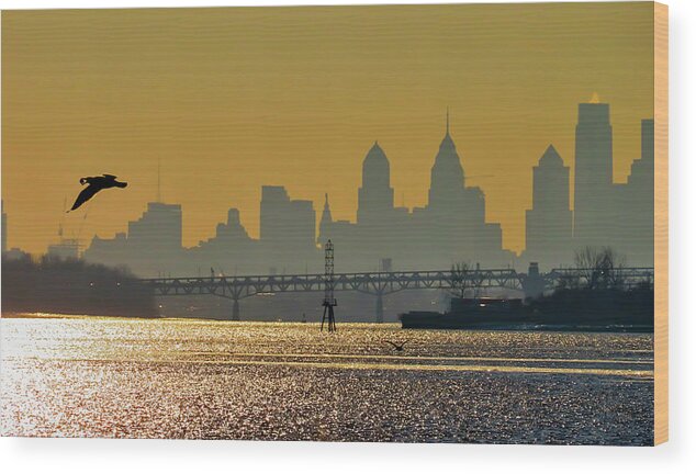 Philadelphia Wood Print featuring the photograph Philadelphia Skyline with Gull at Sunset as Seen from Amico Island by Linda Stern