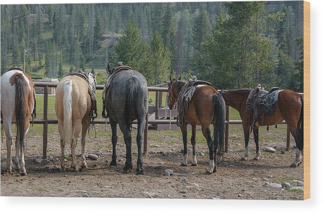 Horse Wood Print featuring the photograph Ready To Ride by Steve Kelley