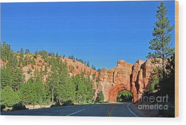 Red Canyon Arch Wood Print featuring the photograph Red Canyon Arch by Amazing Action Photo Video