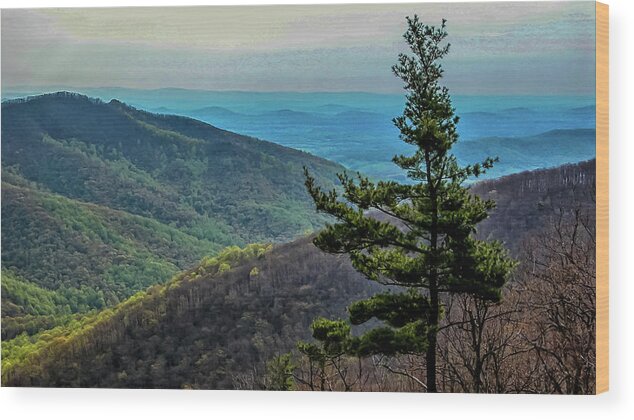 Fall Wood Print featuring the photograph Ridge-and-Valley Appalachians by Louis Dallara