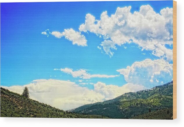 Natural Landscape Wood Print featuring the photograph Rocky Mountains 13 by Maggy Marsh