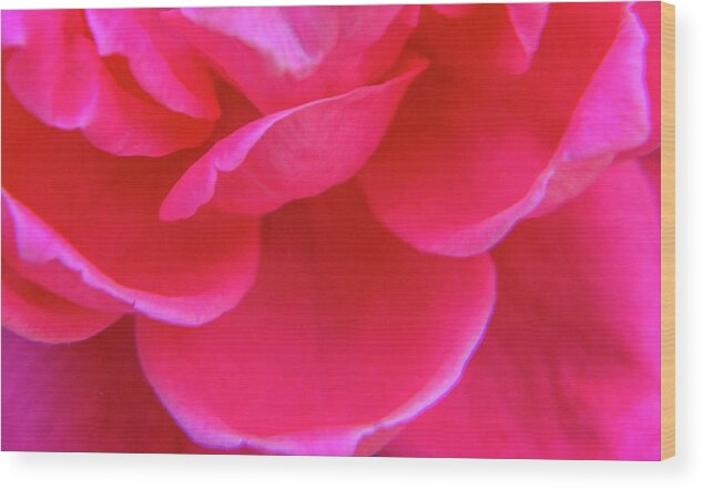 Red Wood Print featuring the photograph Rose Petals by Addison Likins